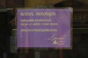 Énidő Levendula fagyi